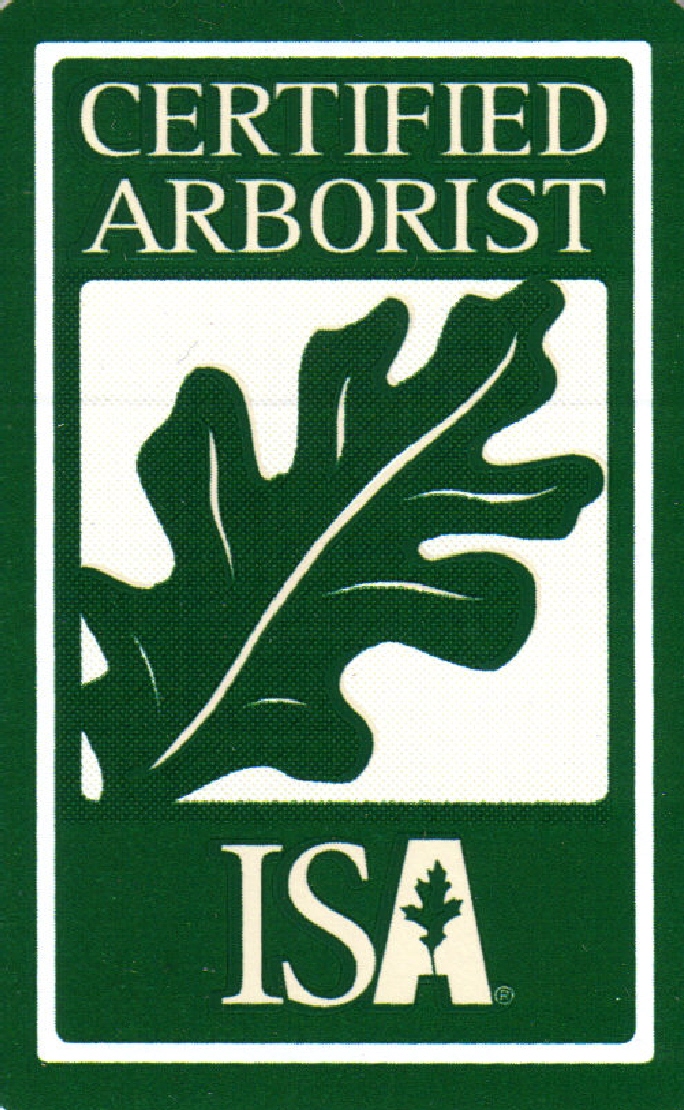 ISA Certified Arborist Minnesota